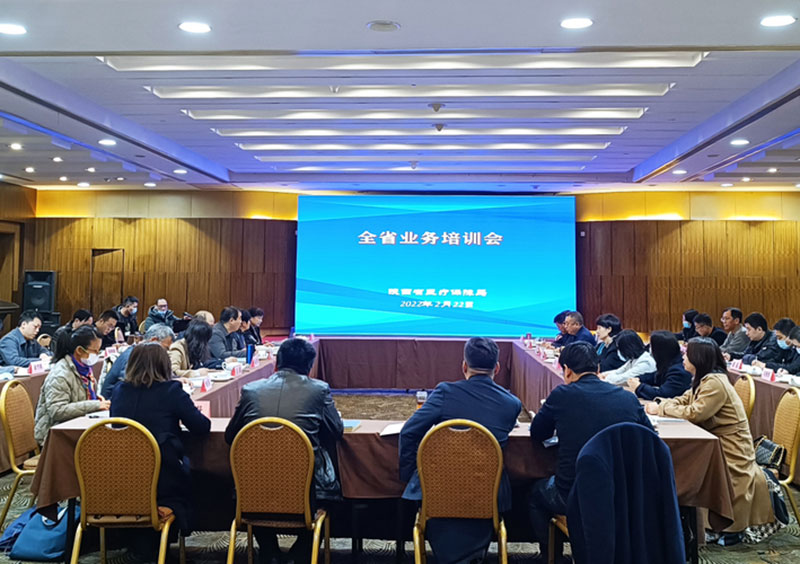 柏林会议执行公司